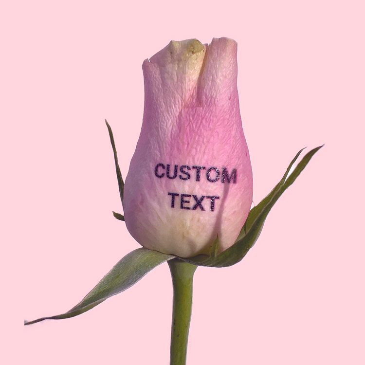 Custom Text Roses